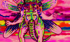 SUN BIRTH SPACE
