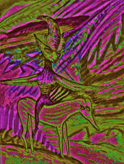 fly me free
