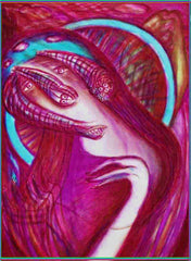 virgn mary in space spaceship