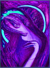virgn mary in space spaceship