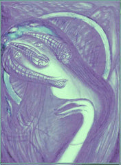 virgn mary in space spaceship