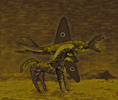 war with covid-19