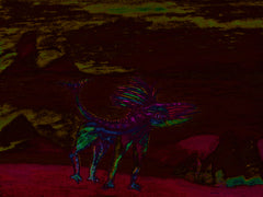 war with covid -19