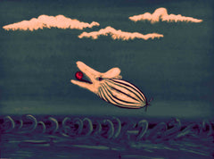 the flying