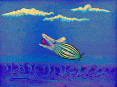the flying