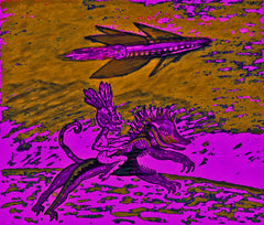 this and that girl with fuck you now covid-19