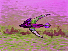 sailing away with bird