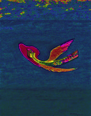 come fly with me