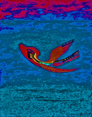 come fly with me
