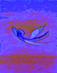 come fly with me