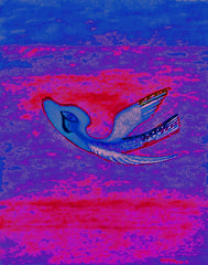 come fly with me