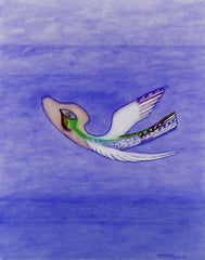 come fly with me