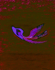come fly with me