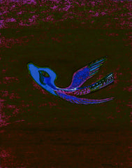 come fly with me
