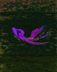 come fly with me