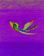 come fly with me