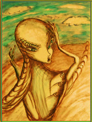 oh l 'm disappearing - climate change