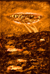 l am the space bite