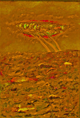 l am the space bite