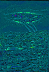 l am the space bite