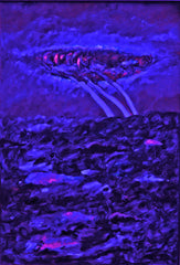 l am the space bite