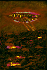 l am the space bite