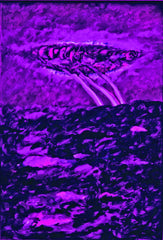 l am the space bite