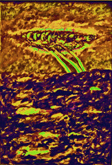 l am the space bite