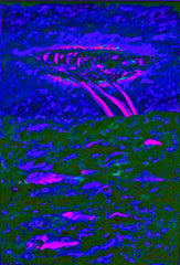 l am the space bite