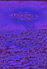 l am the space bite