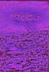 l am the space bite