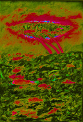 l am the space bite