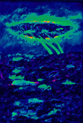 l am the space bite