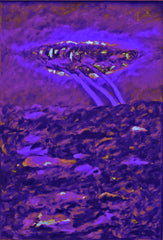 l am the space bite