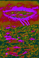 l am the space bite