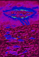 l am the space bite