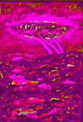 l am the space bite