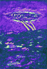 l am the space bite