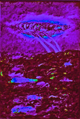 l am the space bite