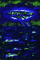 l am the space bite
