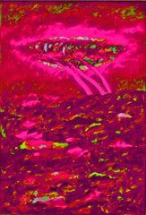 l am the space bite