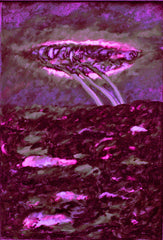 l am the space bite