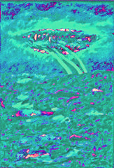 l am the space bite