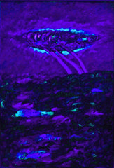 l am the space bite