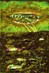 l am the space bite