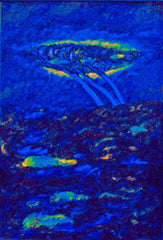 l am the space bite