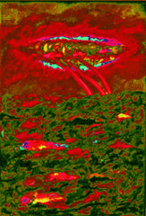 l am the space bite