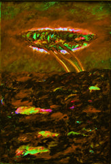 l am the space bite