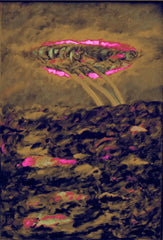 l am the space bite