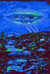 l am the space bite